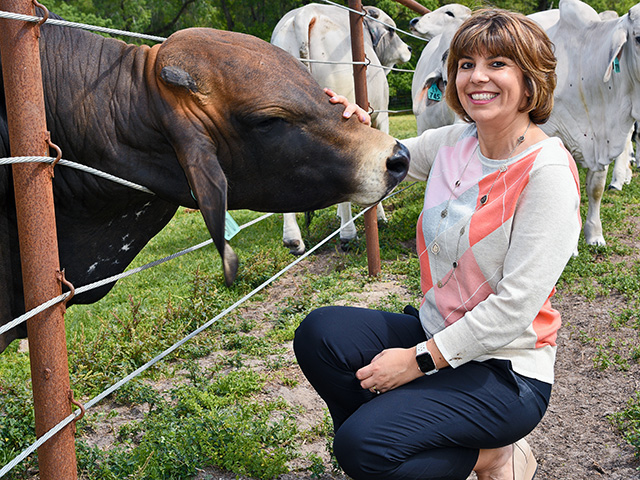 Romanian-born geneticist Raluca Mateescu is a leader in thermotolerance research in cattle. She is selecting for traits such as hair coat and sweat gland size to help cattle better handle heat stress. (Progressive Farmer image by Becky Mills)