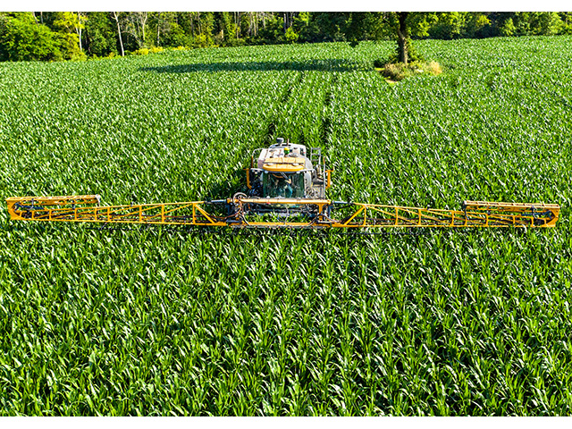 Some farmers have switched to 20-inch corn and multiple nitrogen applications to increase yields and revenue.
(Progressive Farmer image by Dave Charrlin)