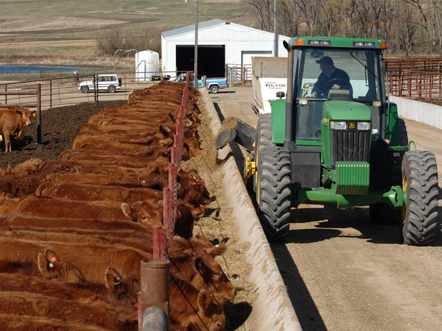 A new report from CoBank projects a 12% increase in feed costs for 2021.  (DTN/Progressive Farmer photo by Tom Stromme)