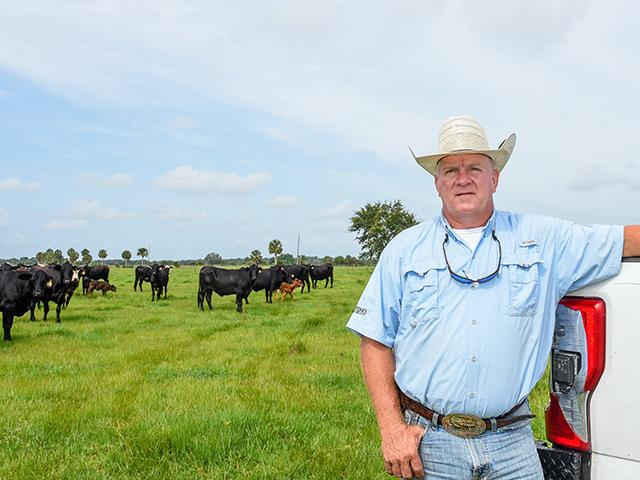 Florida&#039;s Matt Pearce says early weaning first-calf heifers helps him put more money per calf in his pocket come sale time. (Becky Mills)