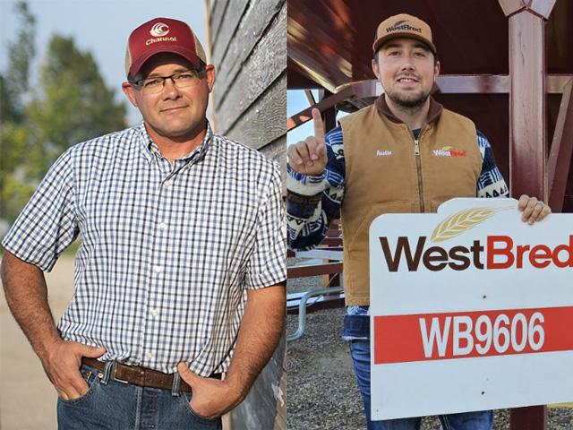 Challenging production areas rose to the occasion in the 2023 National Wheat Yield Contest. Marc Arnusch (left), Keenesburg, Colorado, and Austin Kautzman (right), Mott, North Dakota, took honors for wheat yields that far exceeded their county averages. (Photos by Joel Reichenberger and Kaylin Kautzman)