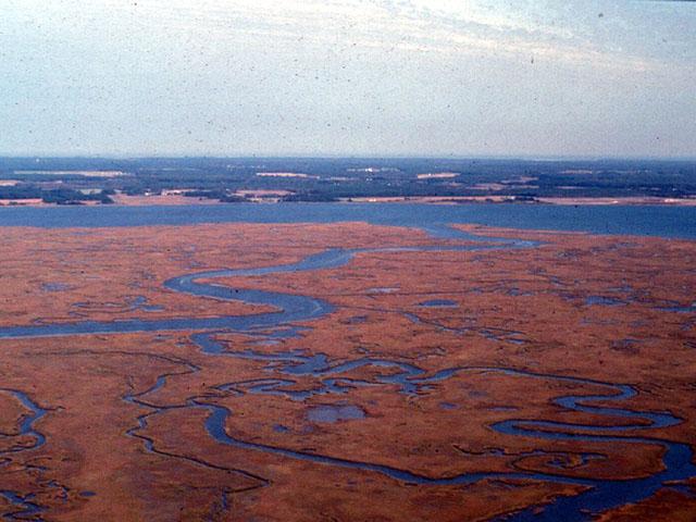 The Chesapeake Bay Foundation said in a report that conservation measures have helped reduce nutrient runoff, but more resources are needed to meet goals. (DTN file photo)