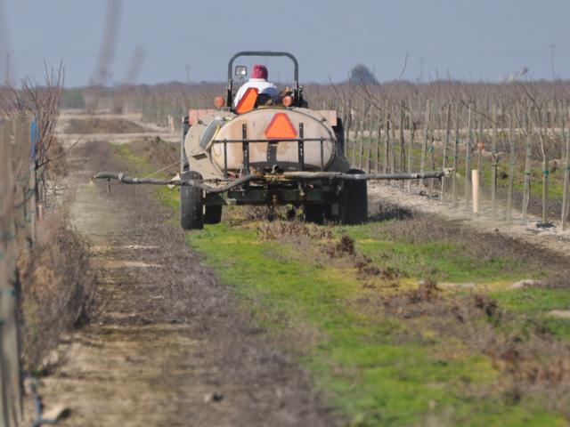 A farm worker in California sprays a patch of vines. A new law in California will make it easier for labor unions to organize farm workers. California Farm Bureau calls the legislation 