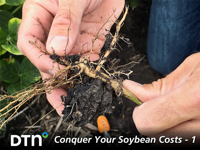 Soybean cyst nematode is sneaky, and stewardship is necessary to keep varietal resistance performing in the field. (DTN/Progressive Farmer photo by Pamela Smith)