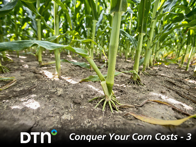 The Verell family&#039;s corn-seeding rates are chosen based on optimum economic return. (DTN/Progressive Farmer photo by Lisa Buser)