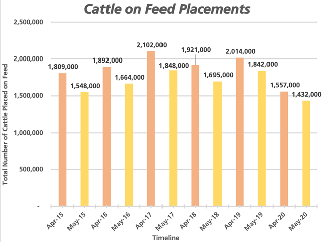 Comparing COF Placements to years past could be a clue as to what feeder cattle prices could do this upcoming fall. (Chart by ShayLe Stewart)