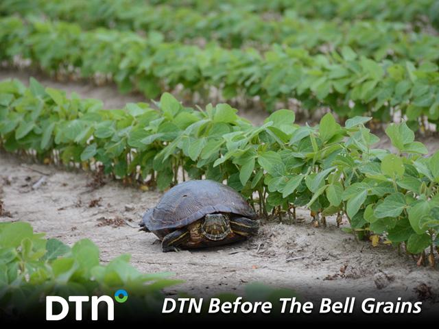 (DTN file photo)