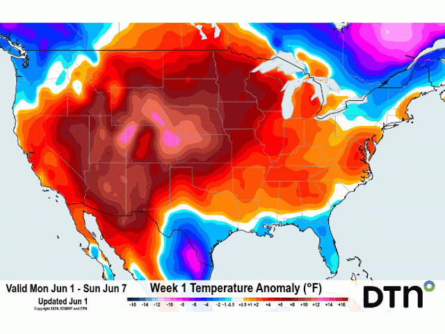 Temperatures for the first week of June will continue to be well above normal for most of the country. (DTN graphic)