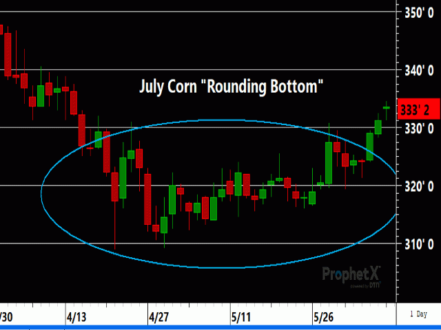 July corn is emerging from a rounding bottom pattern which should act as solid support on any setback attempts. (DTN ProphetX chart)