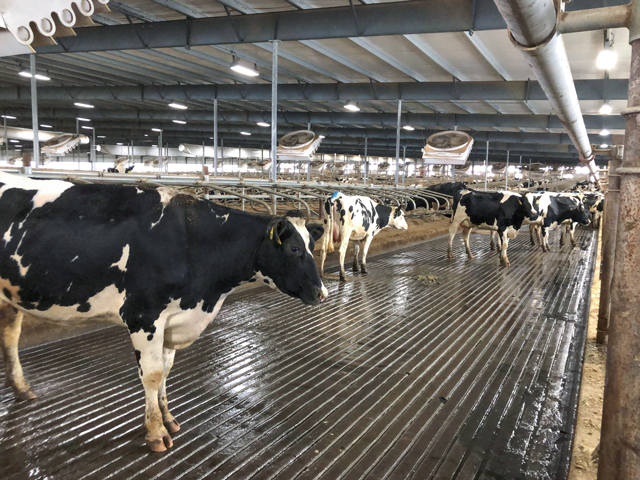 USDA officials are concerned about the low enrollment right now for 2021 Dairy Margin Coverage insurance. Continued strains on demand by the pandemic and no assurances of a new direct aid program mean farmers should consider signing up for the program to protect their price floor. (DTN file photo by Elaine Shein) 