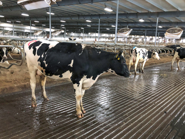 Nearly $1 billion in the COVID-19 relief bill will support a dairy donation program and supplemental Dairy Margin Coverage payments for small- and medium-sized producers. (DTN photo by Elaine Shein)