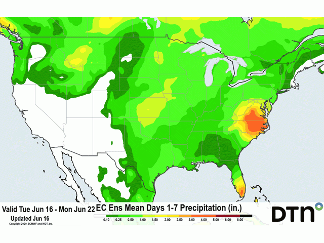 The seven-day DTN precipitation forecast chart shows widespread 0.50-1.50 inches of precipitation, and locally heavier in thunderstorms, are expected across the Corn Belt through June 22, continuing favorable growing conditions. Pockets of lower soil moisture in the Western Corn Belt look to receive the higher amounts. (DTN graphic)
