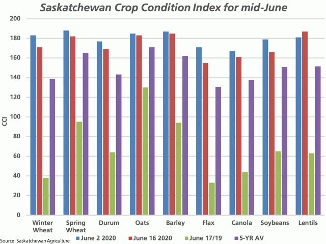 According to Saskatchewan crop condition estimates as of June 15 (red bars), the crop condition indices have slipped since the June 2 estimate (blue bars) for most crops, although remain well above the year-ago crop condition index (green bar) as well as the five-year average. (DTN graphic by Cliff Jamieson)
