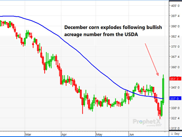 Following the release of USDA&#039;s June 2020 Stocks and Acreage reports, corn futures took off, as funds scrambled to cover shorts. The surprising drop of 5 million planted acres from the March report was far more than traders had expected. (DTN ProphetX Chart)
