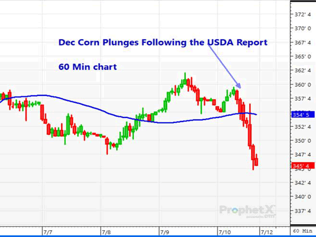 Despite a major corn purchase by China announced on Friday morning, the release of the July WASDE report sent buyers to the sidelines, with corn falling sharply as old-crop demand was cut for corn and soybeans. This 60-minute chart of December corn illustrates the market reaction following the report. (DTN ProphetX chart by Dana Mantini)