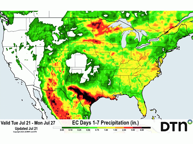 Best rain chances through late July are in north and central crop areas along with southern Texas. (DTN graphic)