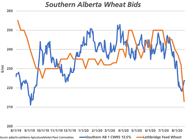 The blue line represents the No. 1 CWRS 13.5% protein daily cash bid for southern Alberta, as reported by pdqinfo.ca, which has shown signs of stabilizing this month. The brown line shows the Lethbridge feed wheat bid, which is the upper-end of the range reported by Alberta Agriculture each week. (DTN graphic by Cliff Jamieson)