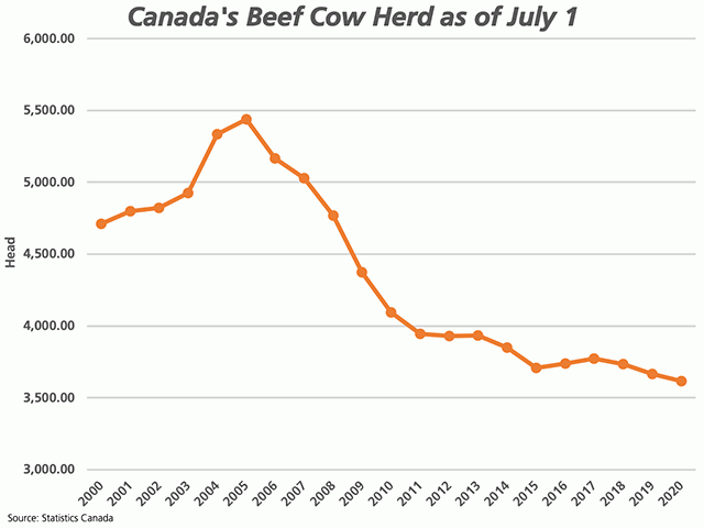Canada's beef cow herd was reported by Statistics Canada at 3.6 million head as of July 1, 2020, lower for a third straight year and the lowest reported since 1990. (DTN graphic by Cliff Jamieson)