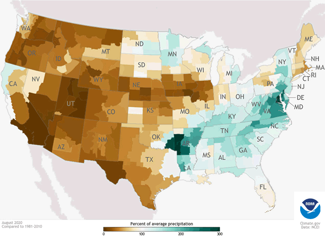 Percent of normal precipitation in the contiguous United States in August 2020 compared to the 1981-2020 average. Extremely dry conditions dominated the West and the western Midwest. (NOAA graphic)