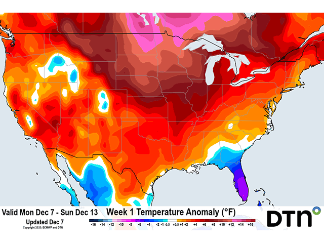 Even though the polar vortex is weaker over the next several weeks, models continue to suggest temperatures generally above normal for the U.S. (DTN graphic)