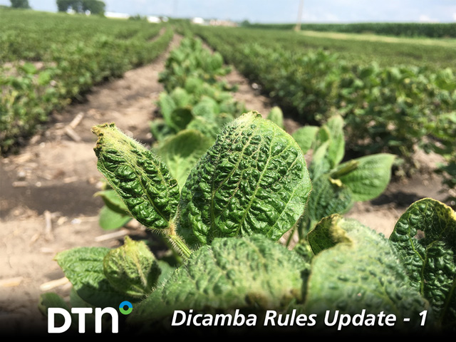 Another year, another set of dicamba labels. Brush up on the new requirements for dicamba use in 2021 with this four-part DTN series, Dicamba Rules Update. (DTN photo by Pamela Smith)
