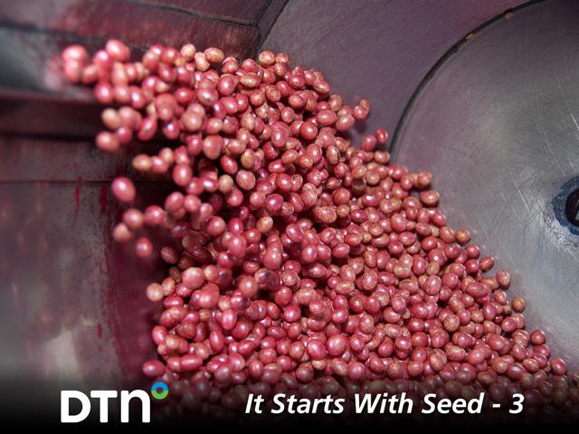 Soybean seeds in a drum where color, polymer and a package of chemical and biological seed treatment products have been applied. (Photo courtesy of BASF)