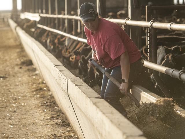 Instead of calling balls and strikes in their own market, cattlemen tend to become price takers in seasons of uncertainty. (DTN/Progressive Farm file photo by Joel Reichenberger)