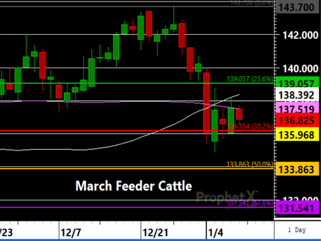 March feeder cattle are consolidating inside a pennant formation with the most likely direction of a breakout being down.