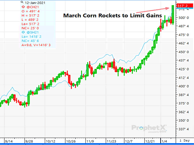 March 2021 corn futures climbed to limit gains -- up 25 cents per bushel -- following the bullish WASDE report Tuesday. (DTN ProphetX chart)