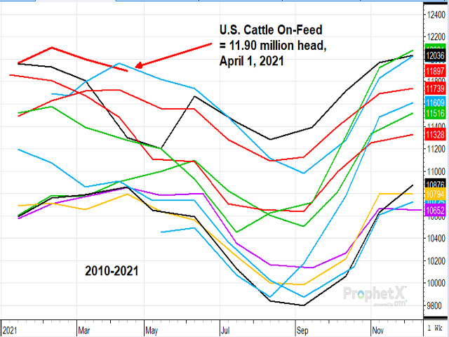 Cattle and calves on feed for the slaughter market in the United States for feedlots with capacity of 1,000 or more head totaled 11.9 million head on April 1, 2021. (DTN ProphetX chart)