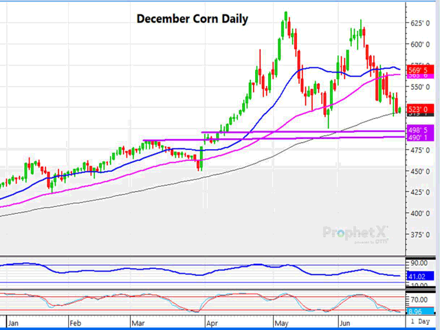 This is a daily chart of December corn futures, which since June 10 has moved $1.05 lower. Big support lies just below this market at $4.90 to $5.00 area. (DTN ProphetX graph by Dana Mantini)