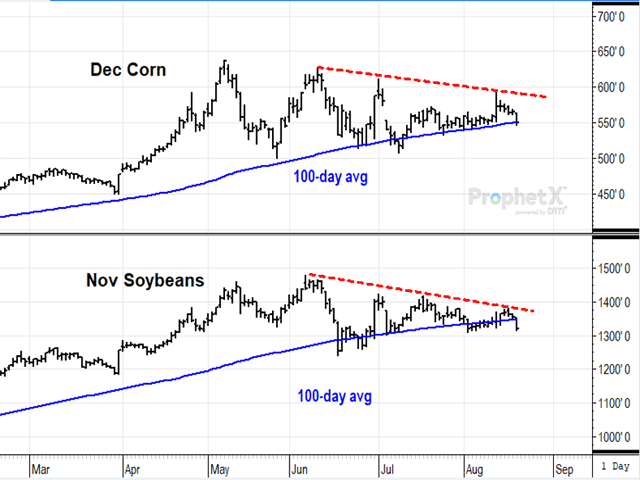 December corn is still within its narrowing triangle formation, barely holding above recent lows, while November soybeans broke lower out of its triangle Thursday, Aug. 19. While many are trying to guess the size of this year&#039;s crops, it is demand that remains difficult to pin down. (DTN ProphetX chart by Todd Hultman)
