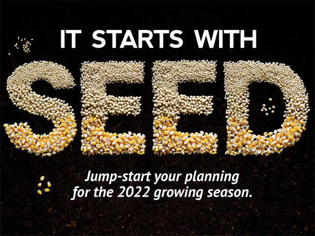 Seeds have their own beauty and hold immense promise. Art Director Brent Warren used common agricultural seeds to illustrate a series of stories called It Starts With Seed. (DTN/Progressive Farmer photo illustration by Brent Warren and Barry Falkner)
