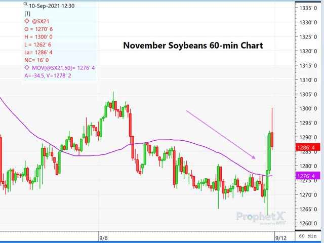 This 60-minute chart of November soybeans shows the sharp rally that ensued shortly after the USDA report release Friday. (DTN ProphetX chart)