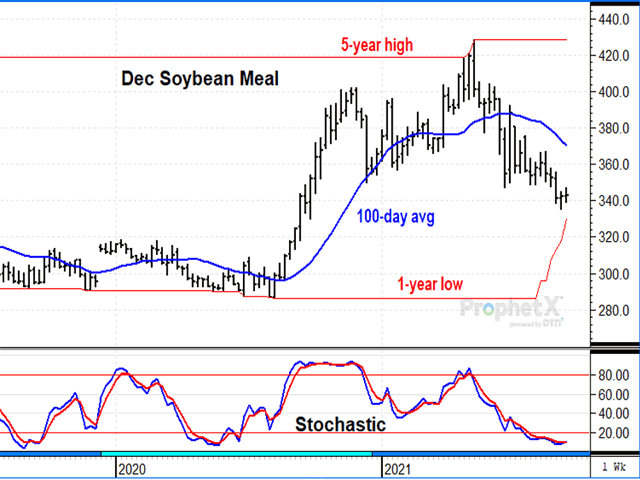 December soybean meal prices fell 22% from their high on May 12 and have been the weaker of the two soy products. But soybean supplies remain tight and support for meal should be near. (DTN ProphetX chart by Todd Hultman) 