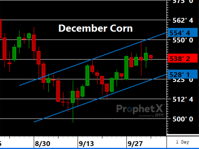 December corn continues to ride the ascending trend channel higher, keeping short and intermediate term trends up. (DTN ProphetX chart)
