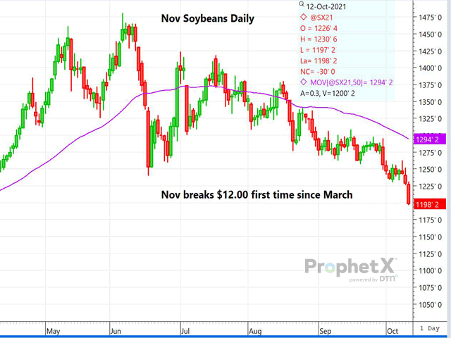 The daily November soybean chart shows the ongoing bearish move was no fluke, as USDA pegged soy yield, production and ending stocks at a much higher level than most had expected. (ProphetX chart by Dana Mantini)