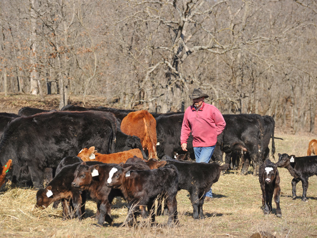 Farm animals are not a source of COVID for their human caregivers, based on new research from the Agricultural Research Service. (DTN/Progressive Farmer file photo)