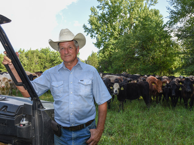 Alabama&#039;s Walt Prevatt says they started a cattle business buying thin cows and adding 250 to 300 pounds to them. (DTN/Progressive Farmer file photo by Becky Mills)