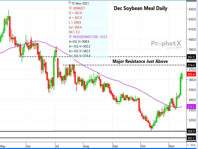 This is a weekly chart of December soybean meal futures showing major selling resistance just above Monday's trade, with a market that has become overbought. 