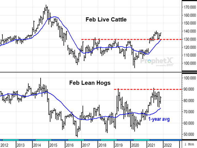 February cattle prices broke new highs earlier this year and are pushing near their highest level in five years as packers start to show increased interest. After five months of declining cash hog prices, February hogs are holding support, still in an uptrend (DTN ProphetX chart).