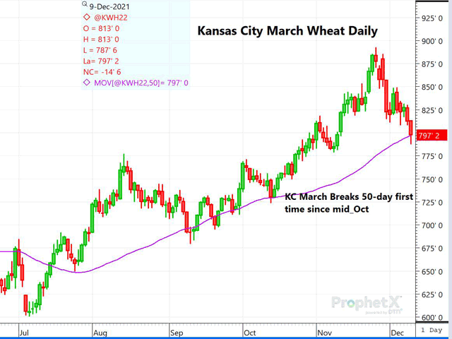 This is the daily chart for KC March wheat and the continuation of the break after the WASDE report. For the first time in nearly two months, KC has broken under the 50-day moving average. (DTN ProphetX chart by Dana Mantini)