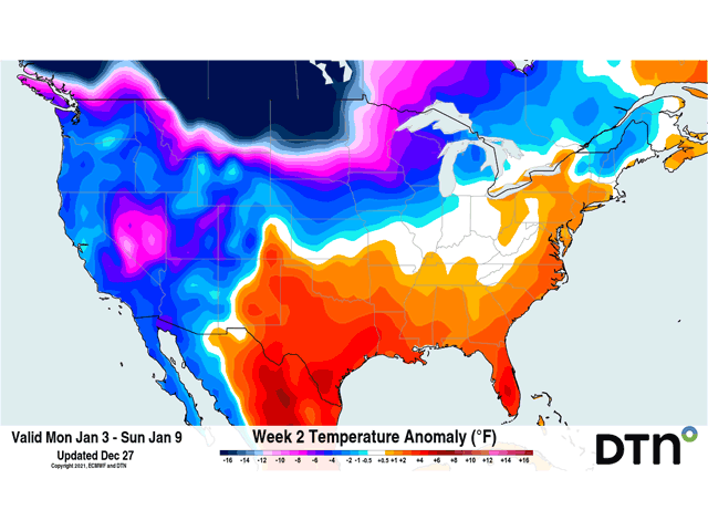 Low temperatures are forecast again next week as another lobe of cold, arctic air builds across Canada and the northern U.S. (DTN graphic)