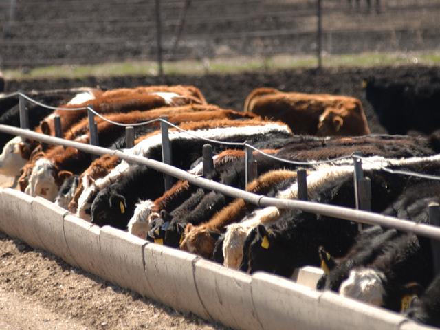 The National Cattlemen&#039;s Beef Association is calling on U.S. Secretary of Agriculture Tom Vilsack to ban fresh beef imports from Brazil. (DTN file photo)