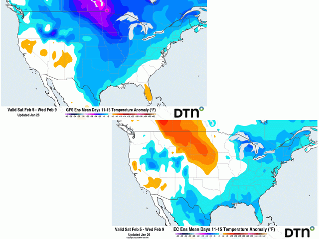 The difference in forecast temperature between the GFS model (upper left) and European model (lower right) across central North America are quite significant going for early February. (DTN graphics)