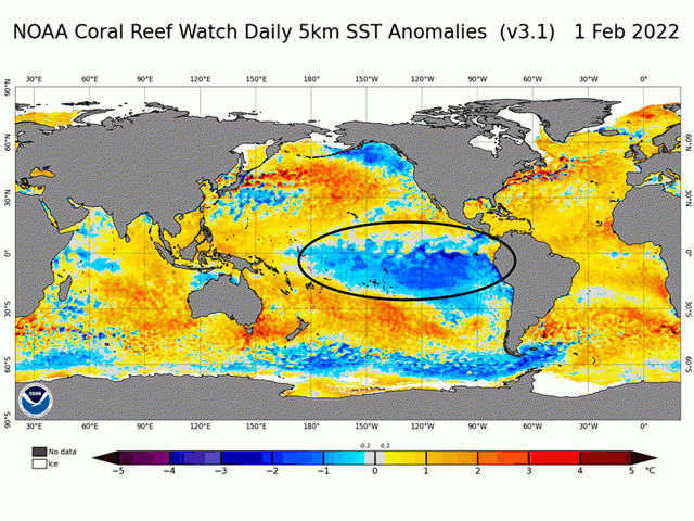 Pacific Ocean temperatures around the equator are still at La Nina-level cool levels in early February. (NOAA graphic)