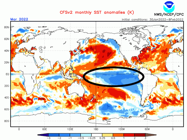 Below-normal temperatures in blue are forecast to continue across the equatorial and southern Pacific Ocean for the month of March by the American Climate Forecast System model (CFSv2). (NOAA graphic)