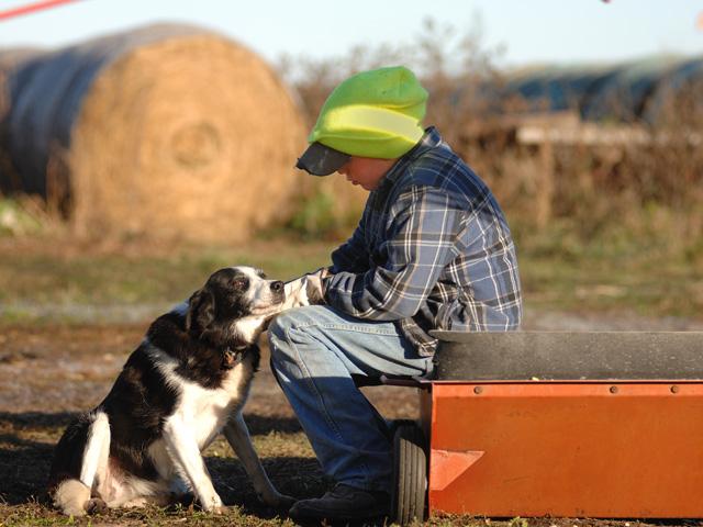 Dogs need to be protected against heartworms year-round, with annual preventions helping to make that easier. (DTN/Progressive Farmer file photo by Jim Patrico)