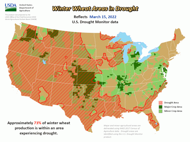 Drought is in effect over 73% of U.S. winter wheat areas as of mid-March 2022, almost triple the drought coverage in 2021. (USDA graphic)