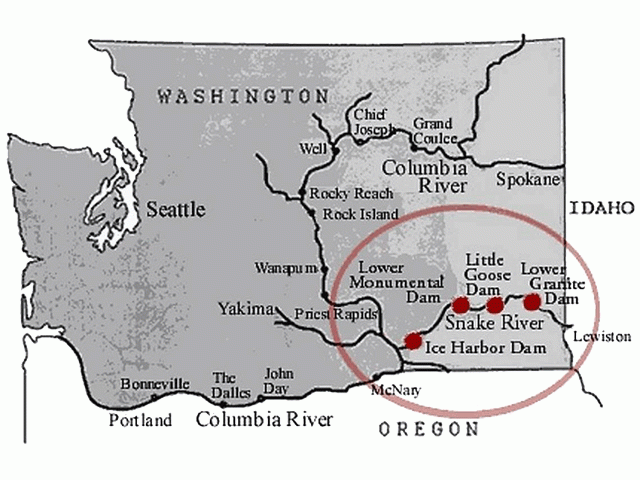 Four dams on the lower Snake River -- Lower Granite, Little Goose, Lower Monumental and Ice Harbor -- are at the center of a decades-old fight about salmon recovery that has caught the attention of the White House. The dams are also a critical artery for wheat exports and provide carbon-free electricity to the region. (Map courtesy of the Columbia-Snake River Irrigators Association) 